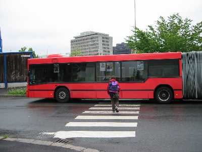 buss 37