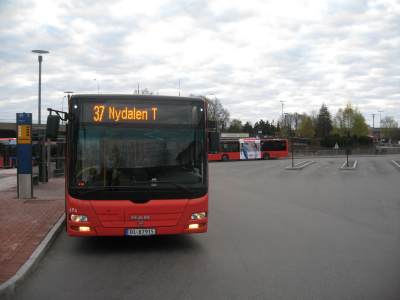 Buss 37 - morgen