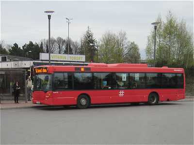 66-bussen