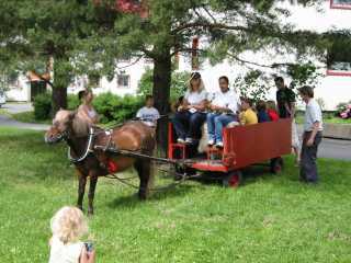 Hest, sommerfest 2002